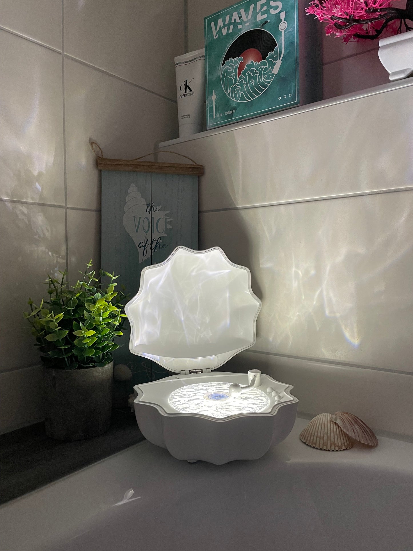 Attrendy™ Shell Wave