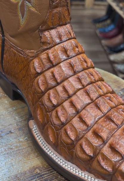 Nile Croc Wide Tail - Cognac